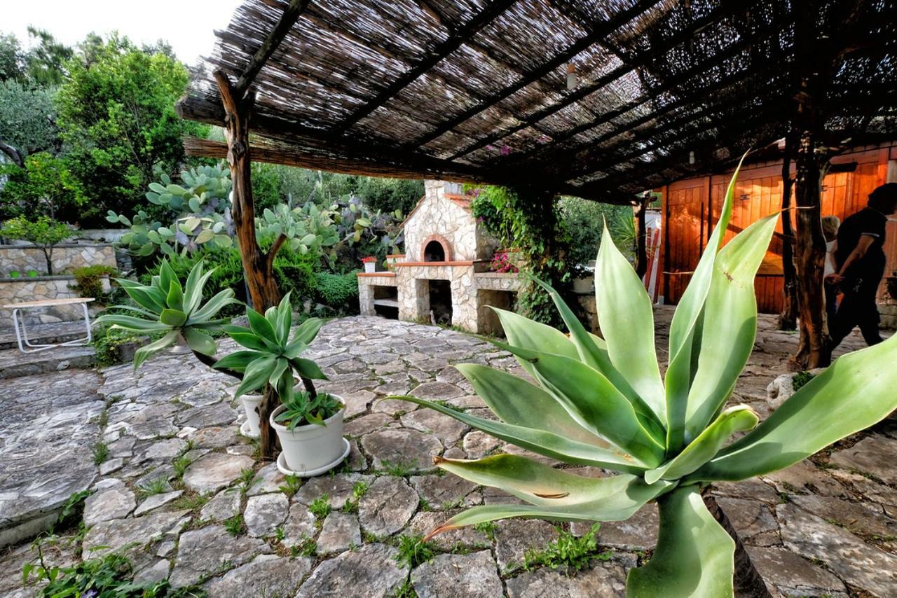 Terra Di Ulivo Villa Vieste Bagian luar foto